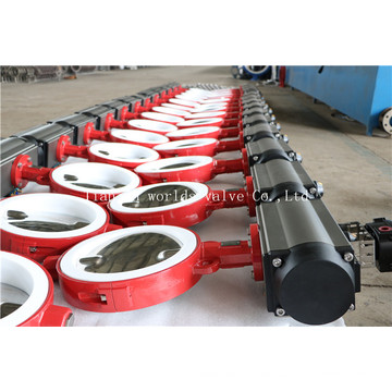 Split Body Wafer Type Butterfly Valve with Polishing Disc (CBF04-TA01)